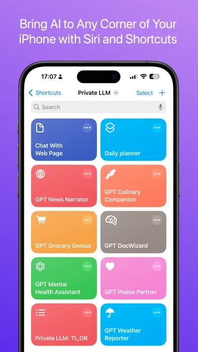 Screenshot di Private LLM - Local AI Chatbot