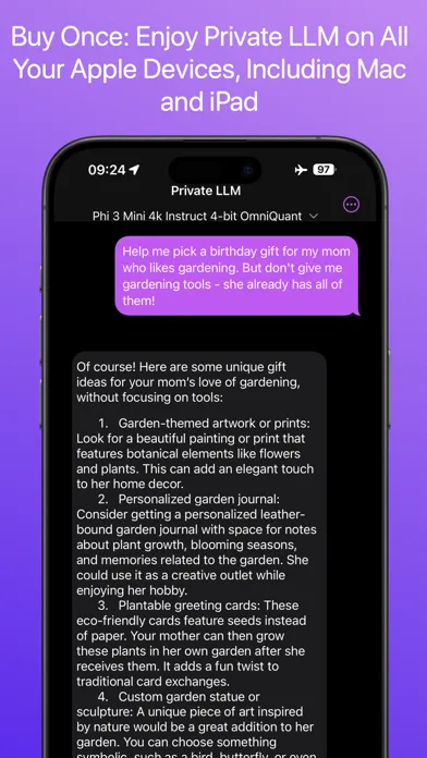 Screenshot di Private LLM - Local AI Chatbot