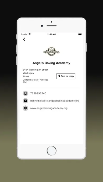 Angel's Boxing Academy Screenshots