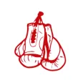 Champion Boxing & Fitness