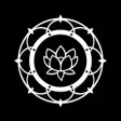 Live Pure Yoga