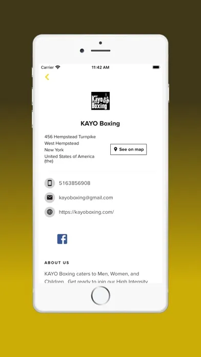 KAYO BOXING Ekran Görüntüleri