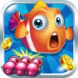 iFish