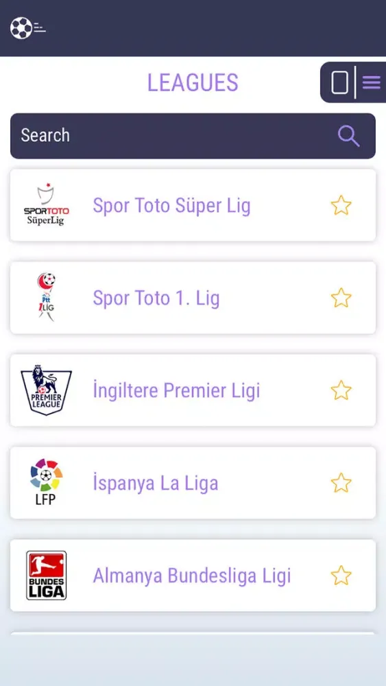 Football Leagues Screenshots