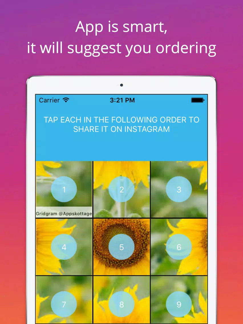 Tangkapan skrin Grid Style for Instagram - Instagrid Post Banner sized full size Big Tiles for IG iPad 