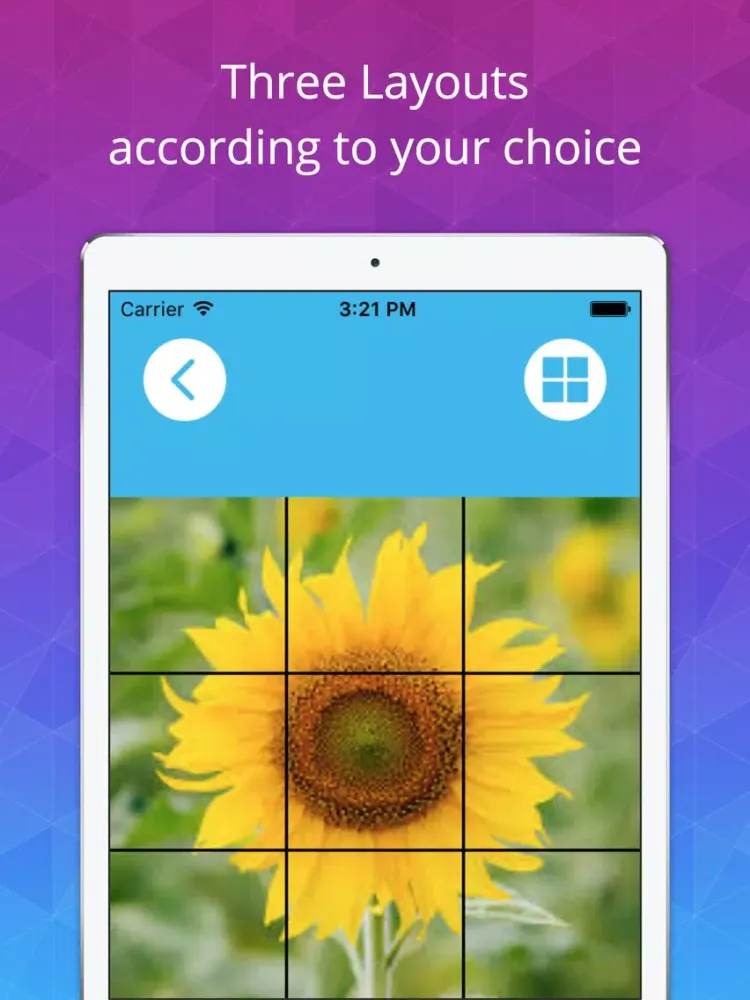 Ảnh chụp màn hình của Split Photo for Instagram -InstaSize Grid Photos iPad 
