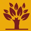Ignite Yoga