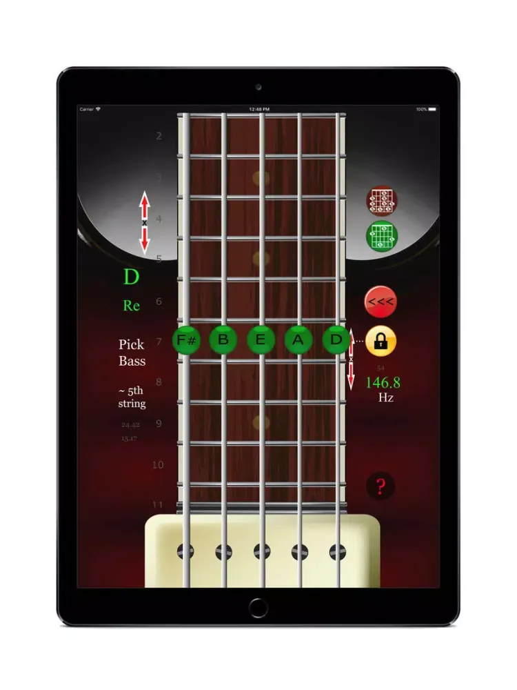 Bass Guitar Simulator iPad  স্ক্রিনশট
