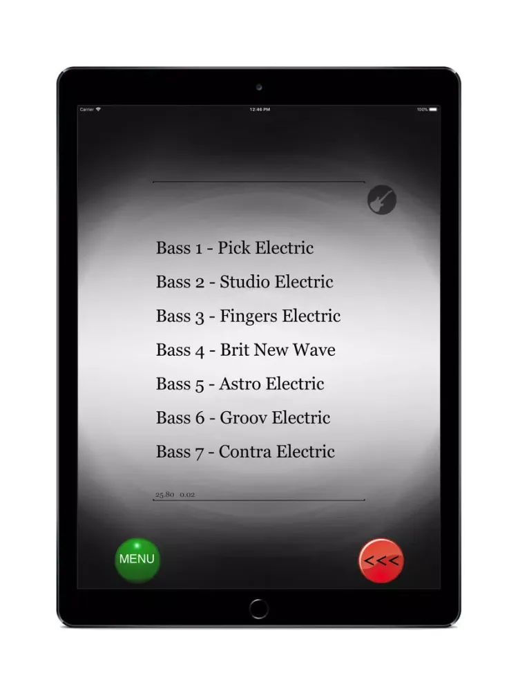 Bass Guitar Simulator iPad  স্ক্রিনশট
