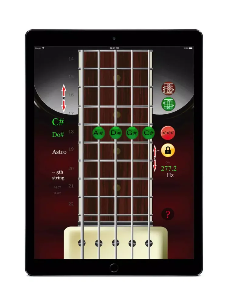 Bass Guitar Simulator iPad  স্ক্রিনশট