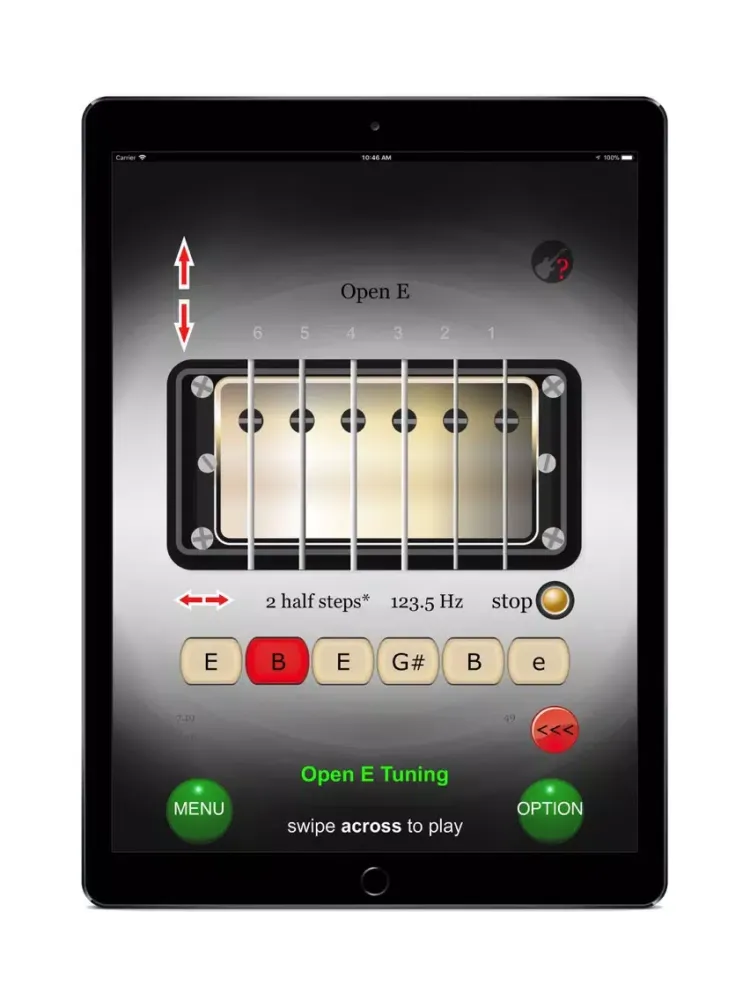 Guitar Tunings (Premium) iPad 應用截圖