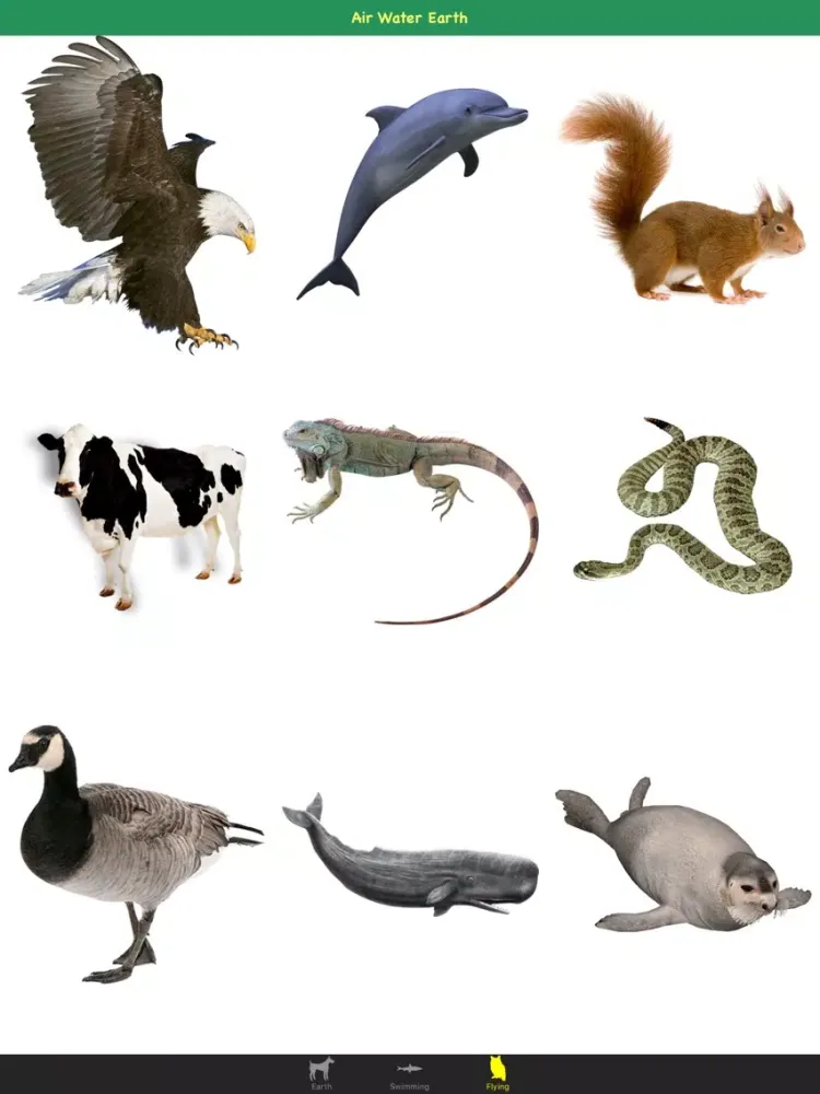 Скриншоты Animal Sounds For Kids & Childs iPad 