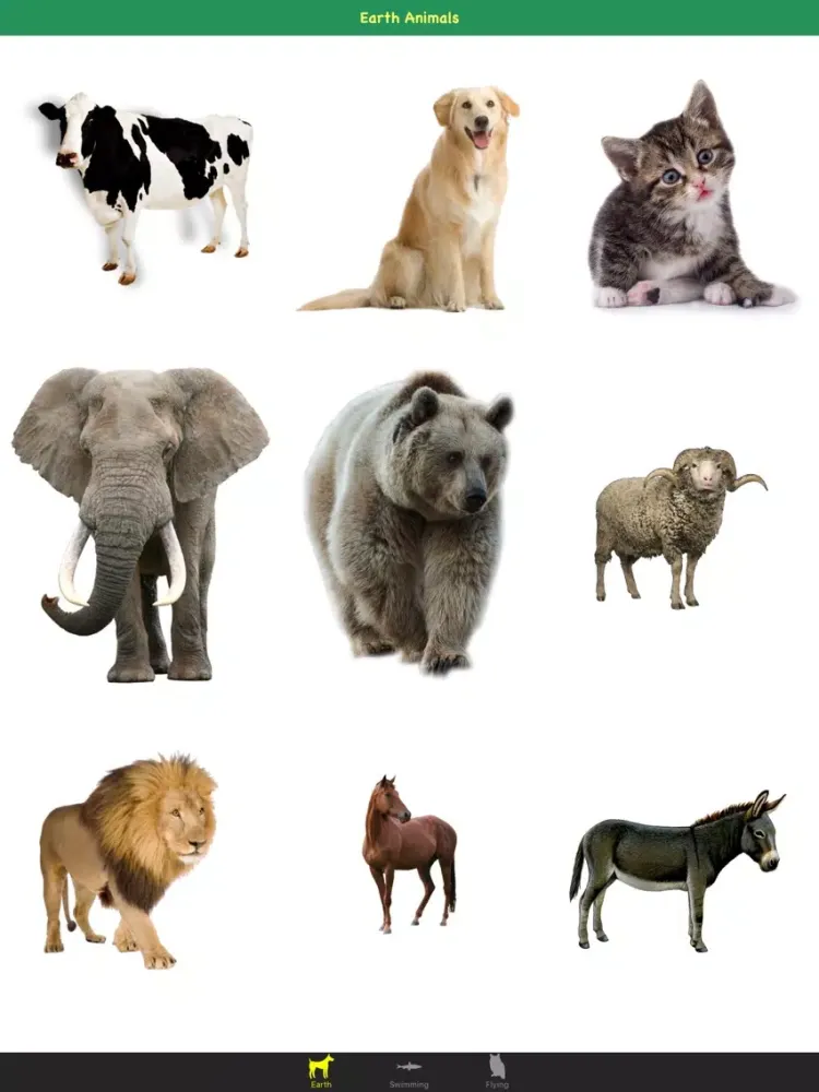 Скриншоты Animal Sounds For Kids & Childs iPad 