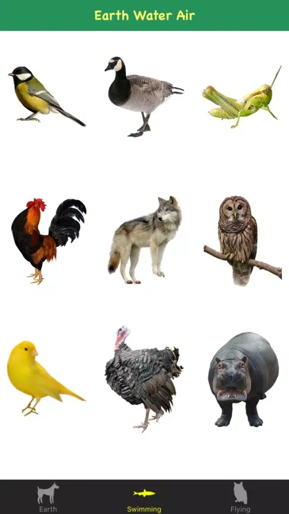 Скриншоты Animal Sounds For Kids & Childs