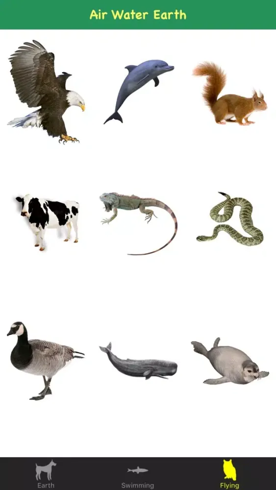 Скриншоты Animal Sounds For Kids & Childs