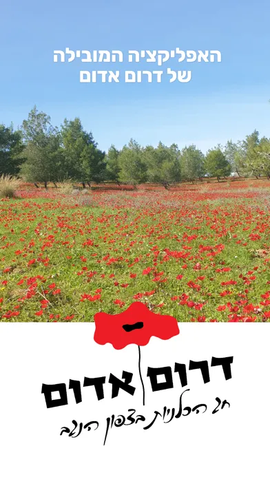 صور METROnegev