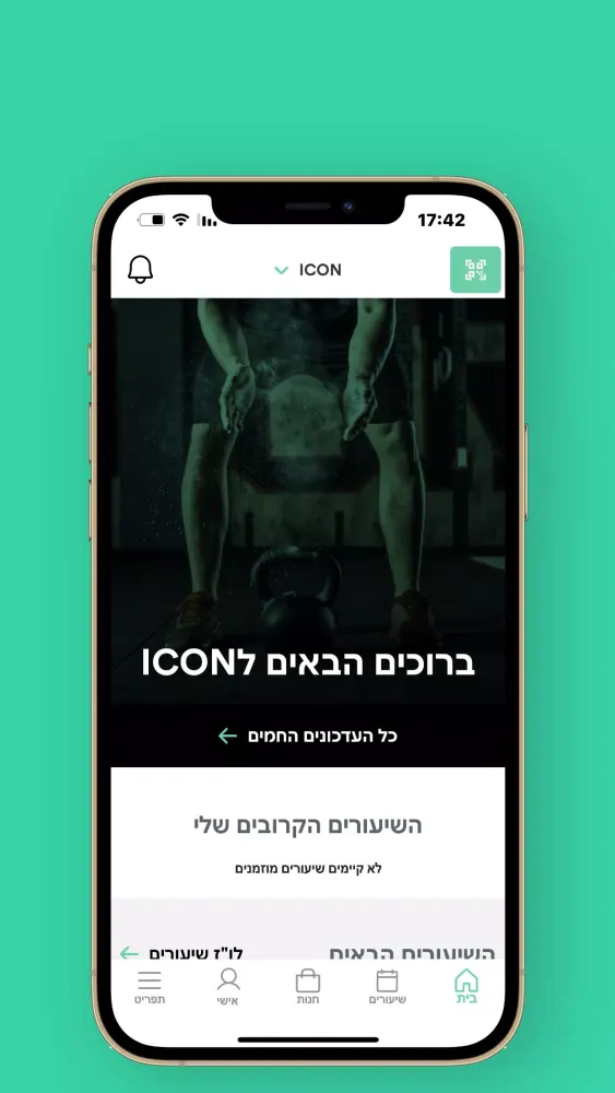Icon Screenshots
