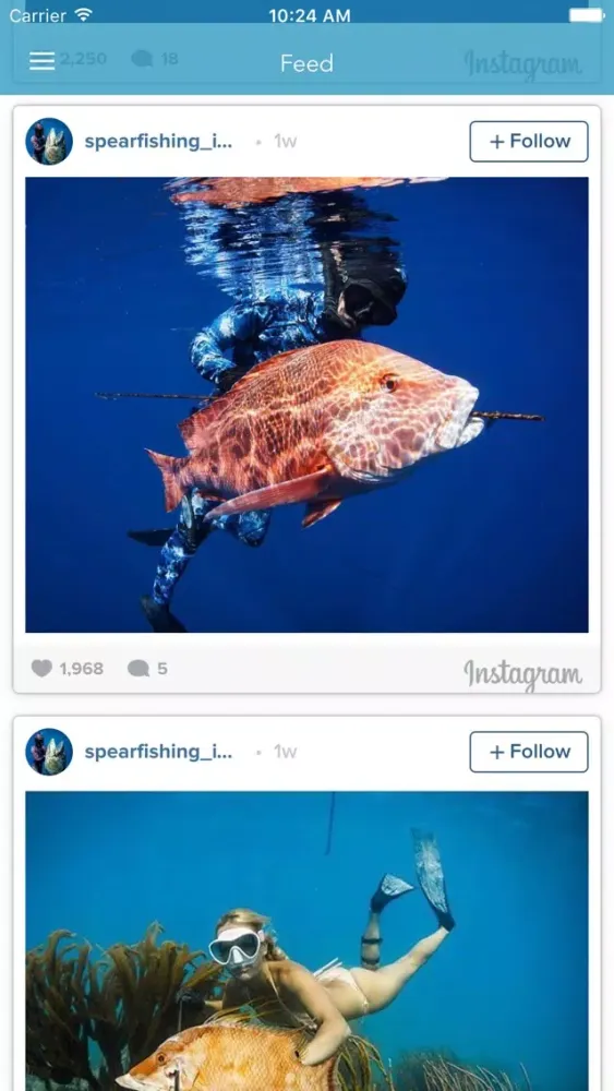 Скриншоты Spearfishing