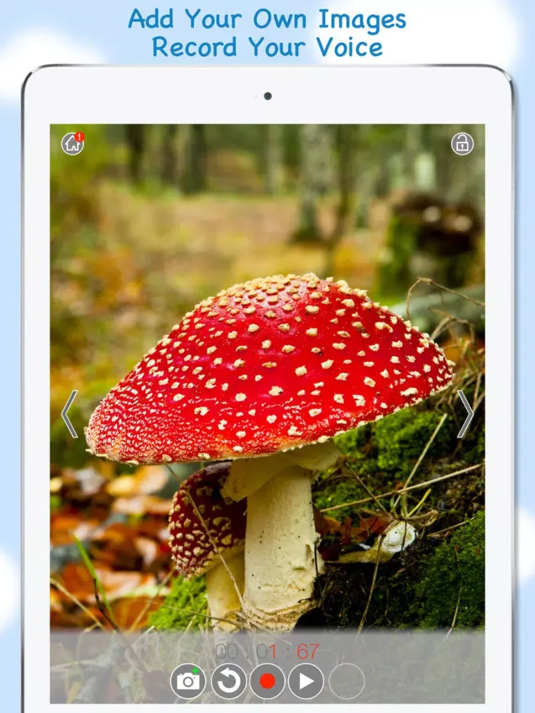 Capturas de pantalla de Blue Bird Learning Academy iPad 
