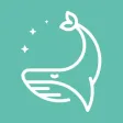 不失眠 - 睡眠质量好，蜗牛也会说梦话