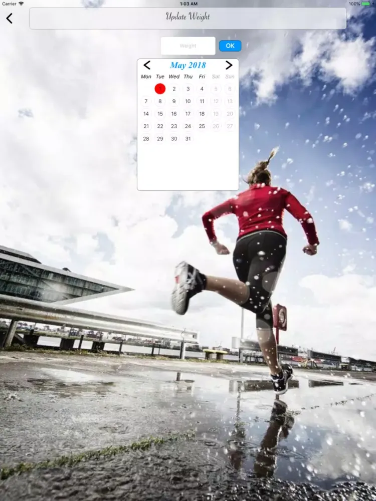 Weight Monitor & Control iPad  スクリーンショット