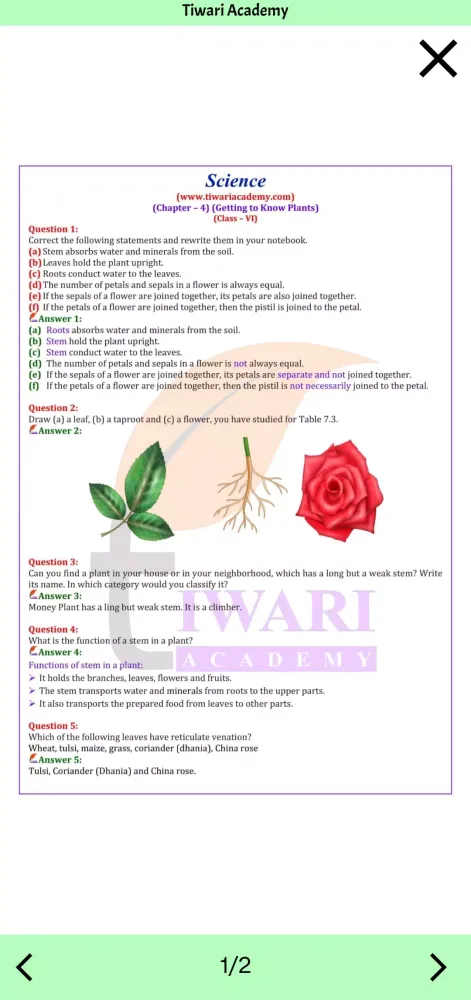 Скриншоты Class 6 Science Solutions