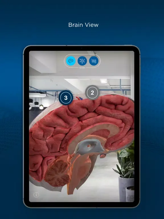 صور ImmerseRx: Headache iPad 