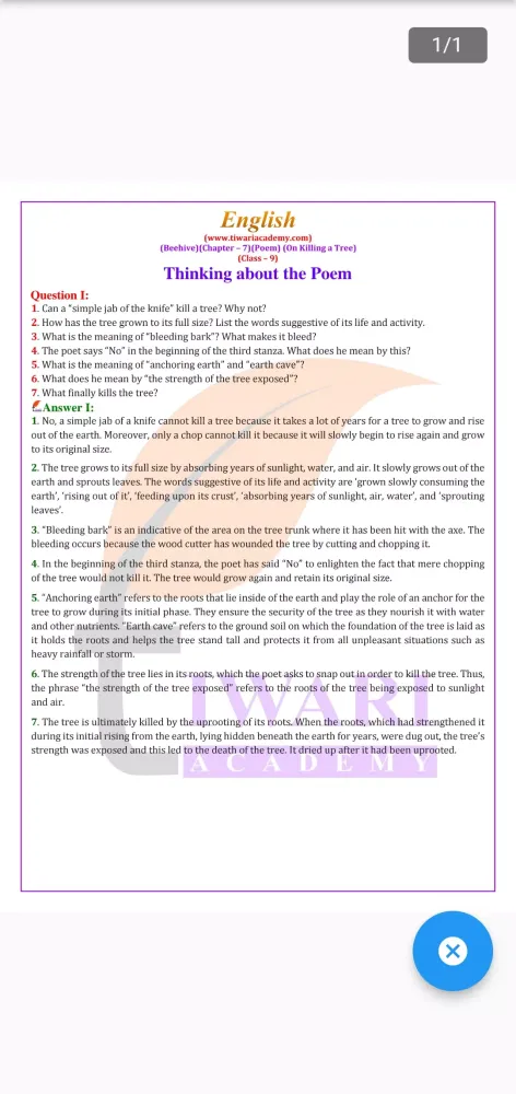 Tangkapan layar Class 9 English for 2024-25
