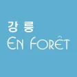 하이앙포레 강릉 - 살롱 / 디자이너 전용 앱