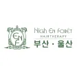 하이앙포레 부산ㆍ울산 - 살롱 / 디자이너 전용 앱 하이앙포레 부산ㆍ울산 - 살롱 / 디자이너 전용 앱