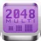 2048 Multi - Puzzle Logic Board Game for All Ages!