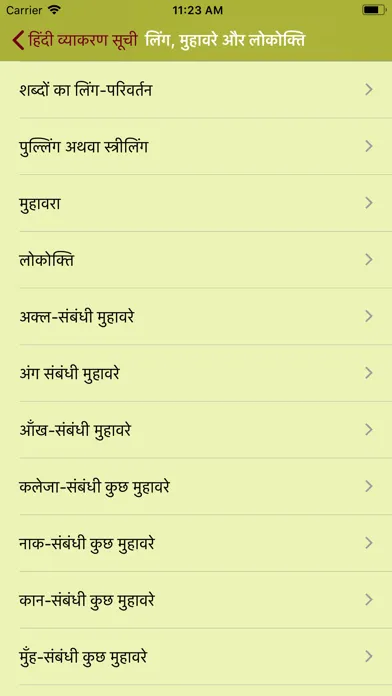 Hindi Vyakaran - Grammar应用截图