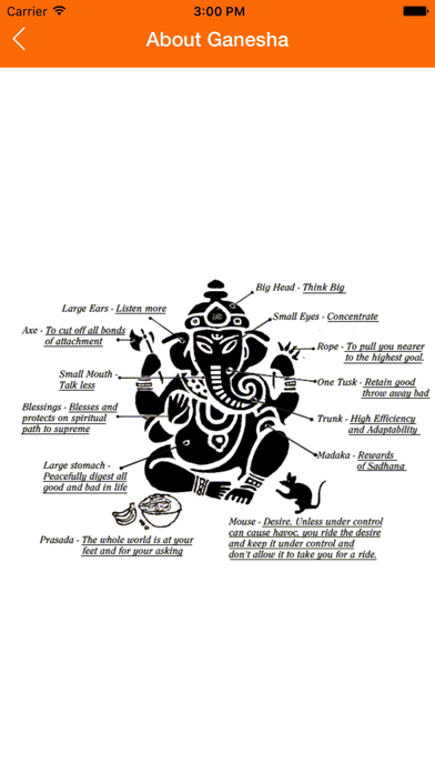 Ganesh Pooja應用截圖