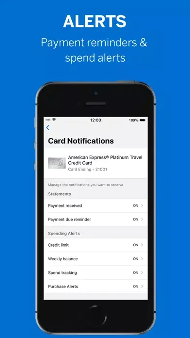 Скриншоты Amex India