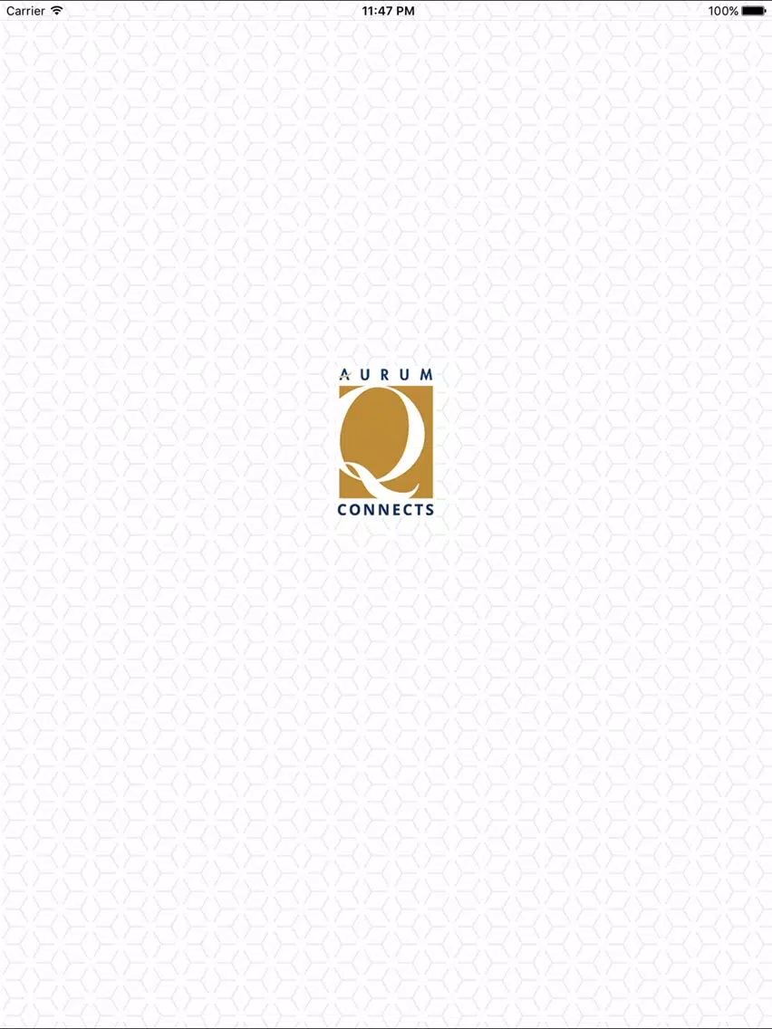 Q Connects iPad  スクリーンショット