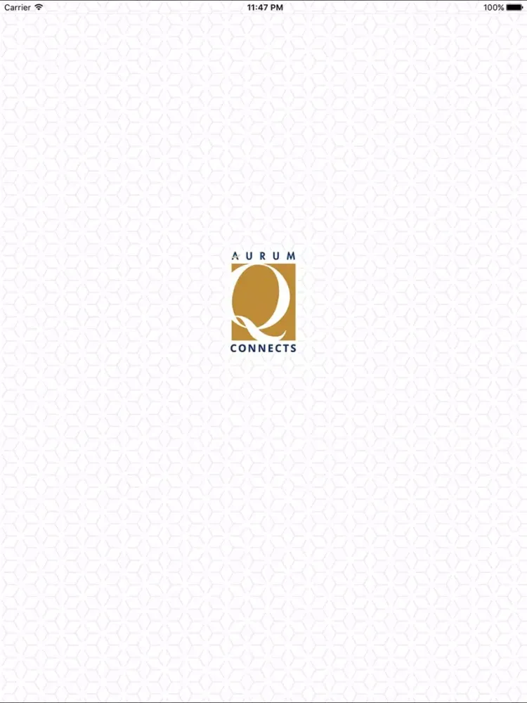 Tangkapan skrin Q Connects iPad 