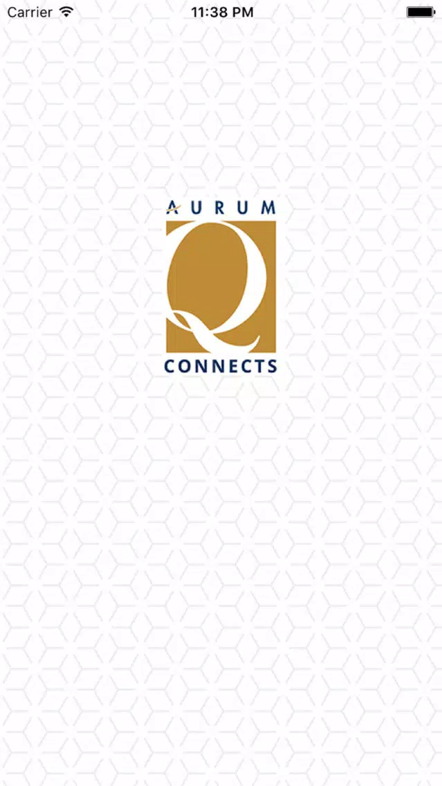 Q Connects スクリーンショット