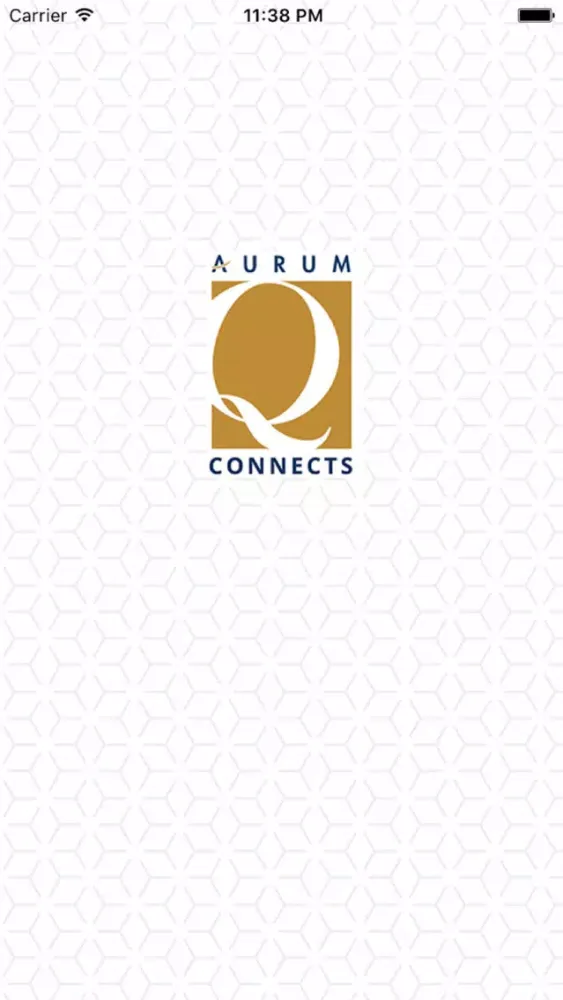 Tangkapan skrin Q Connects