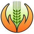 Crop Insurance