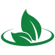 Freshhaat