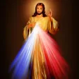 Daily Holy Bible Verses & word