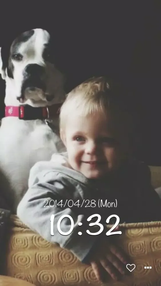 dog clock - clock for dog lovers - スクリーンショット