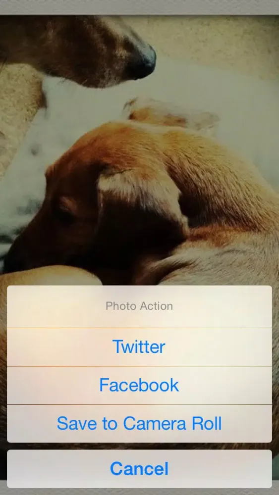 dog clock - clock for dog lovers - スクリーンショット