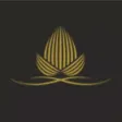 Aamby Valley CMO