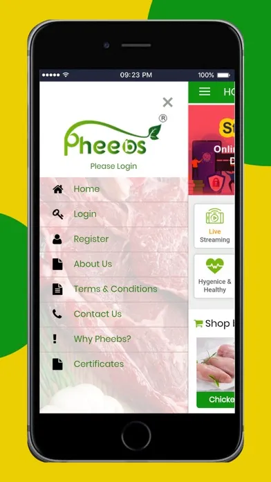 تصاویر Pheebs