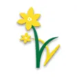 Daffodils - Parent App Daffodils - Parent App