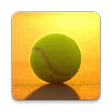 Sports Guide