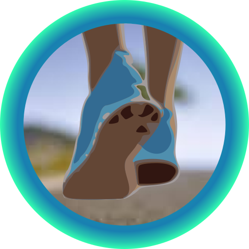 Challenge Run