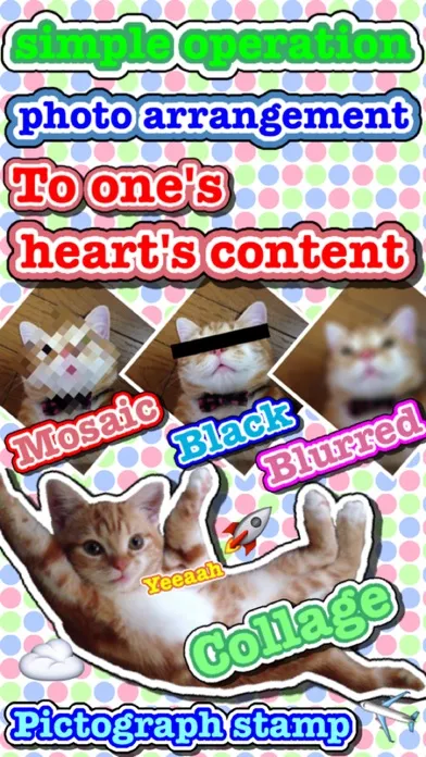 Tangkapan layar Photo Arrangement LITE