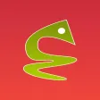 بازی مار بازی مار